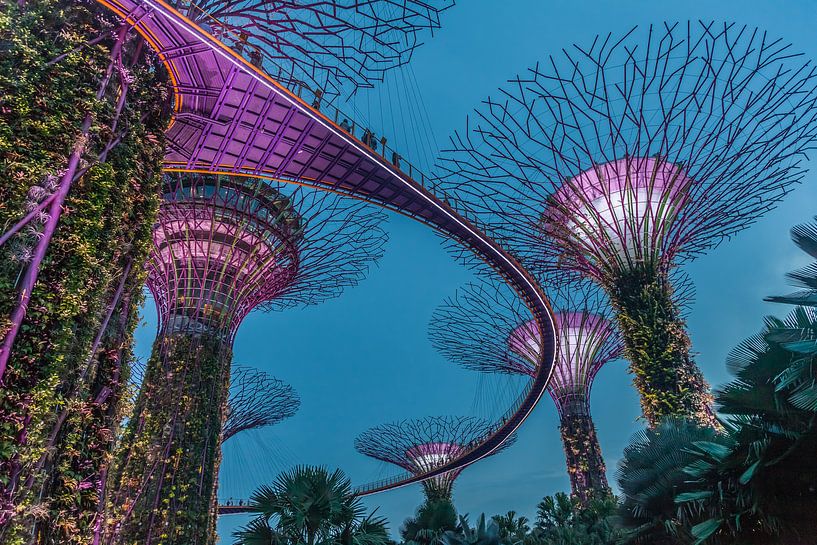 Singapur bei Nacht von Paul de Roos