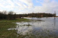 het stille water