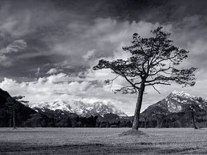 Zugspitzblick bei Oberau