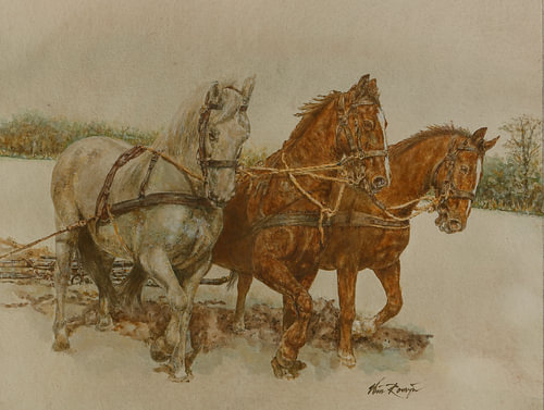 Chevaux de la Gueldre pour le cultivateur