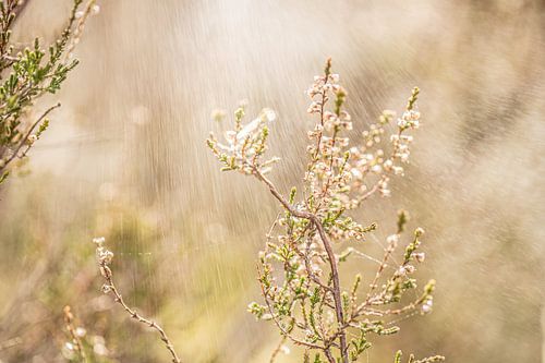 Photographie créative