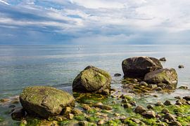 Stones on shore of the Baltic Sea by Rico Ködder
