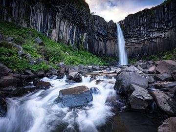 Svartifoss, IJsland van Eddy Westdijk