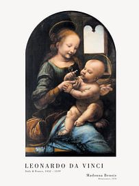 Leonardo Da Vinci - Madonna Benois by Old Masters