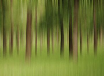the forest van Annemieke van der Wiel