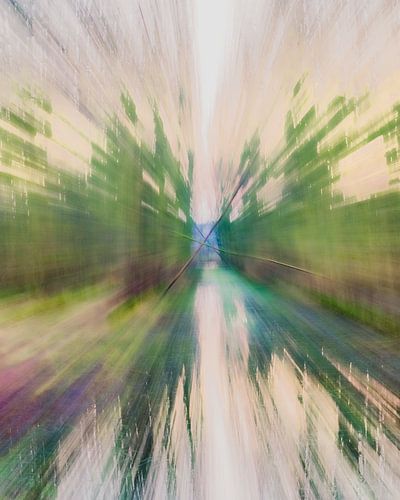 Attraktivität des Waldes.