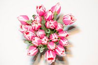 Tulpen aan de muur 1