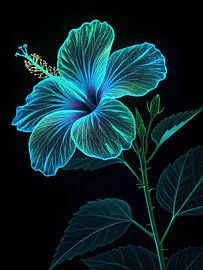 Fleur d'hibiscus bleue lumineuse et éthérée - Une œuvre d'art florale sereine aux rayons X sur fond noir