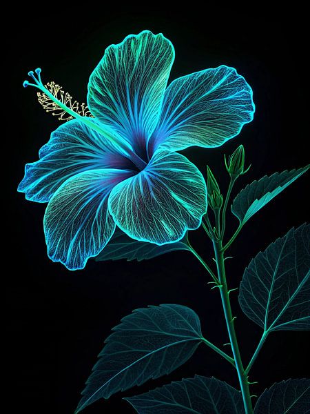 Fleur d'hibiscus bleue lumineuse et éthérée - Une œuvre d'art florale sereine aux rayons X sur fond noir par Artistic