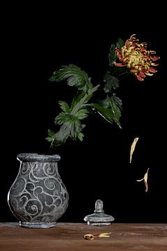 Stilleven van bloem in urn bolchrysant