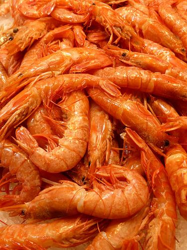 Garnalen, keuken