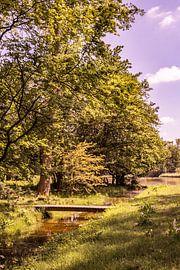 Lage Bergse Bos - Landschaft Nr. 11 von Deborah de Meijer
