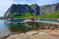 Malerische Szenerie in Reine - Lofoten Norwegen von Gisela Scheffbuch Miniaturansicht