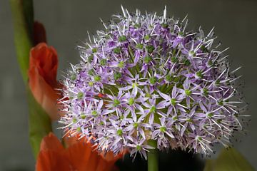Blume inmitten der Natur von Rijk van de Kaa
