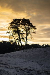 Sonnenaufgang von Koos de Vries