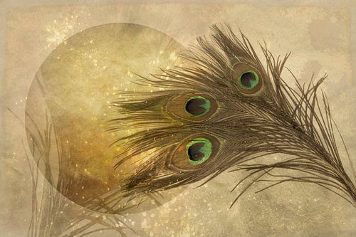 Dusting the Moon.2. Pauwenveer. Maan.