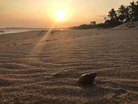 Setting sun sri lanka by stephanie van gent