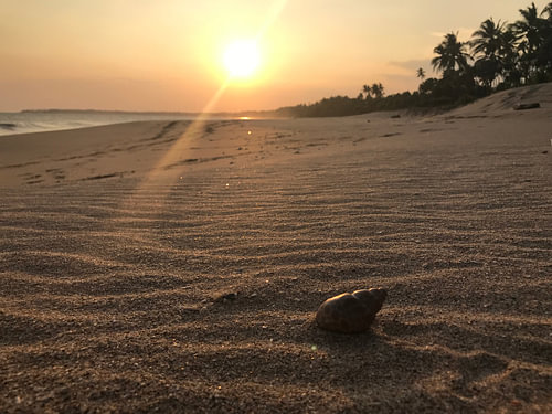 Setting sun sri lanka