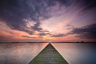 Scaffolding Schildwolde by Anton Steenbergen thumbnail
