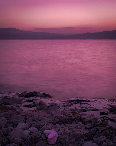 Lila Herz von Roland's Foto's