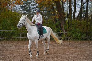 Training mit dem weißen Pferd auf einem Reitplatz im Herbst