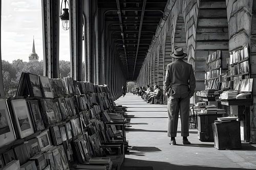The book whisperer of Paris by Skyfall