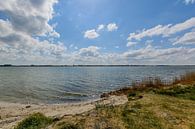 Naturstrand bei Glutzow am Strelasund, Insel Rügen von GH Foto & Artdesign Miniaturansicht