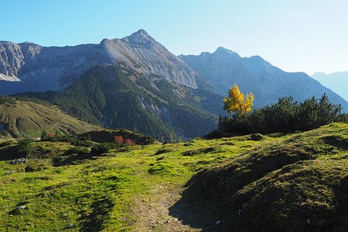 Heel mooi ️ - de Mondscheinspitze is een absoluut sfeervol motief: markant, mystiek en deel van een van de mooiste berggebieden tussen Karwendel en Achensee.