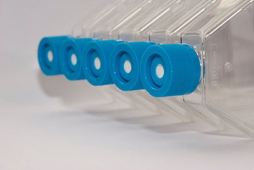 The science of tissue culture