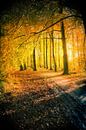 parc naturel en automne par Ariadna de Raadt-Goldberg Aperçu