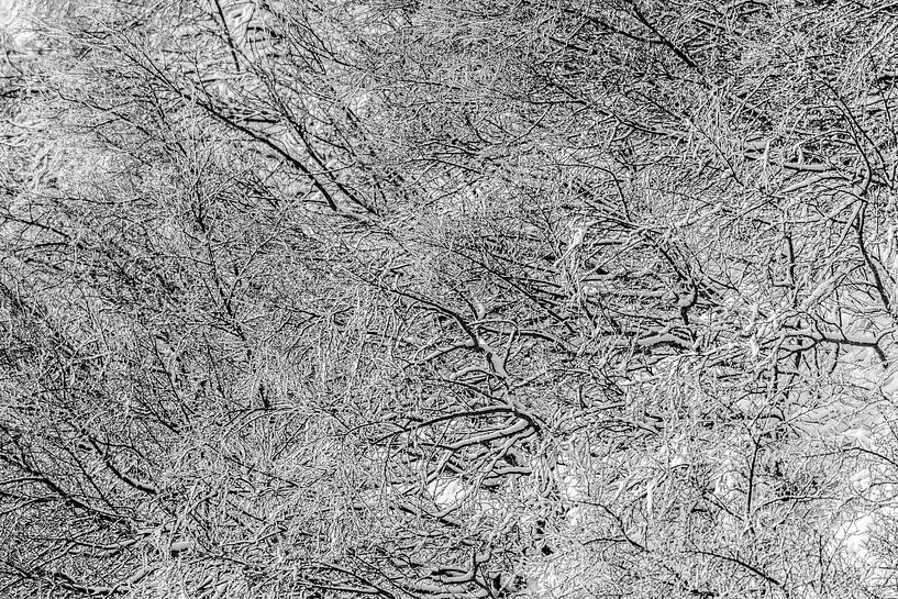 Branches en abstraction Neige hiver par Femke Ketelaar
