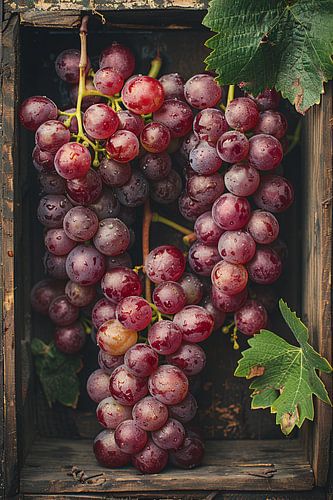 Overvloedige oogst van rode druiven in houten kist