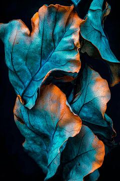 Blaue Blätter gegen schwarzen Hintergrund von Poster Art Shop