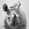 Baby Rhino - Black & White by Gal Design