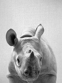 Baby Rhino - Black & White
