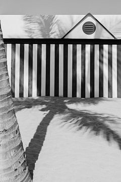 L'ombre du palmier dans le sable | Maison de plage Gran Canaria | Iles Canaries - Photographie de voyage sur HelloHappylife