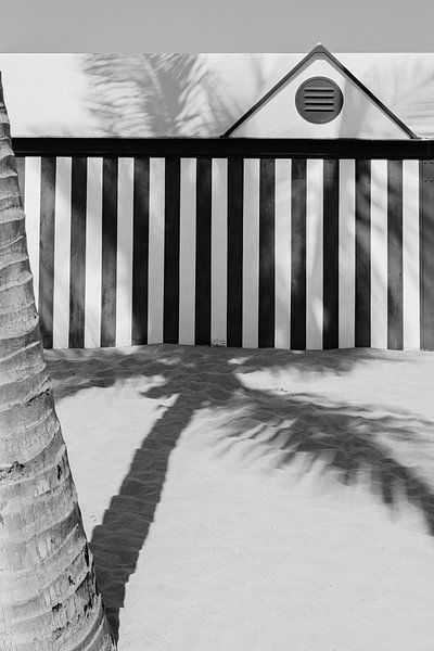 L'ombre du palmier dans le sable | Maison de plage Gran Canaria | Iles Canaries - Photographie de voyage par HelloHappylife