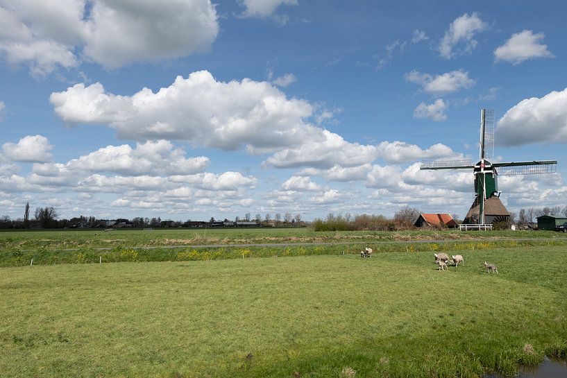 Dutch windmills by Brian Morgan