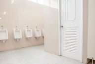 Urinale auf der Herrentoilette von Marcel Derweduwen Miniaturansicht