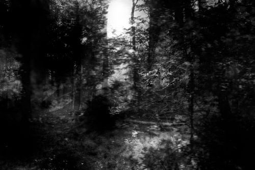 verlorenes Gefühl, Bild 4