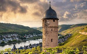 Zell, Mosel, Deutschland