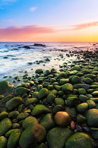 Grüne Steine am Ostseestrand