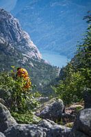 Onderweg naar de Preekstoel - Noorwegen