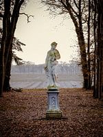 a beauty all alone