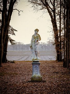 eine Schönheit ganz allein von MvdP fotografie