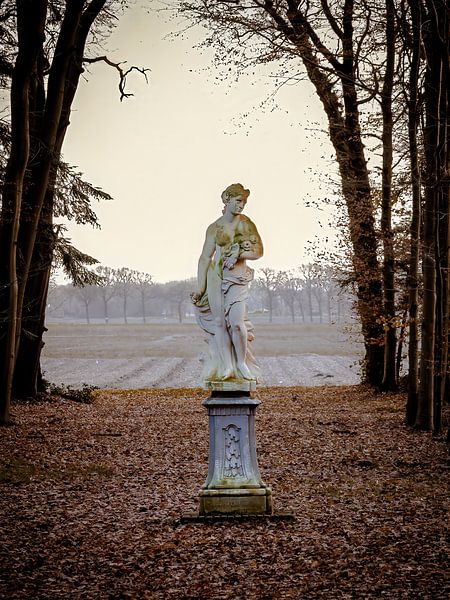 une beauté toute seule par MvdP fotografie