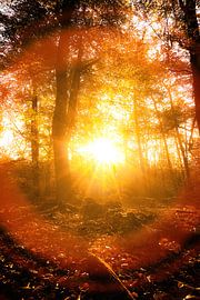 Autumn Symphony 8 by Cho Tang