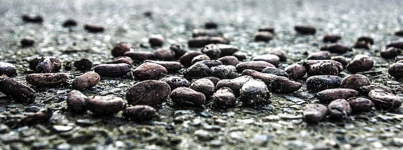 Un reste de grains de café (photo grand écran) par Norbert Sülzner
