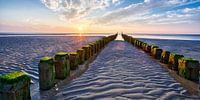 Groynes Oostkapelle