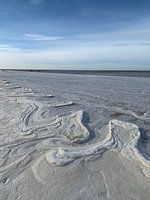 Frozen sea.